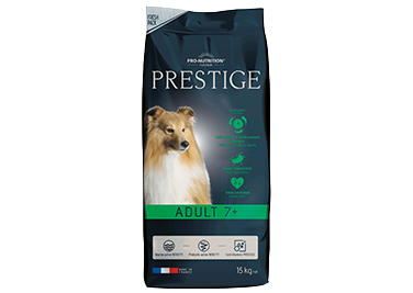 prestige_adult7.png