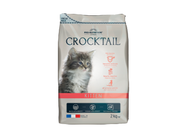crocktail_kitten.png