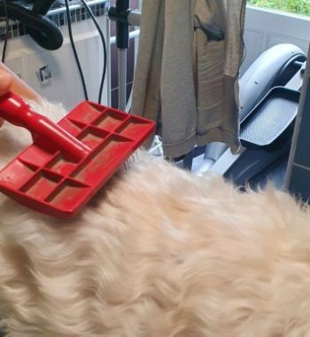299612736_587056039755954_9055712764240766932_n 299612736_587056039755954_9055712764240766932_n